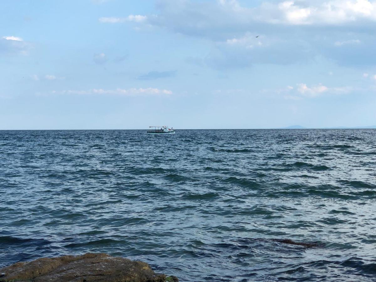 Coral Beach Корал Бийч Szveti Vlasz Kültér fotó