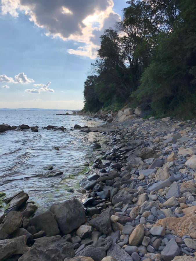 Coral Beach Корал Бийч Szveti Vlasz Kültér fotó