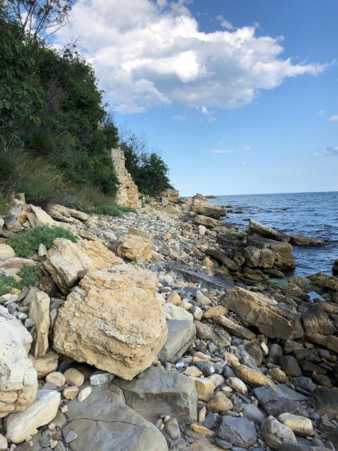 Coral Beach Корал Бийч Szveti Vlasz Kültér fotó